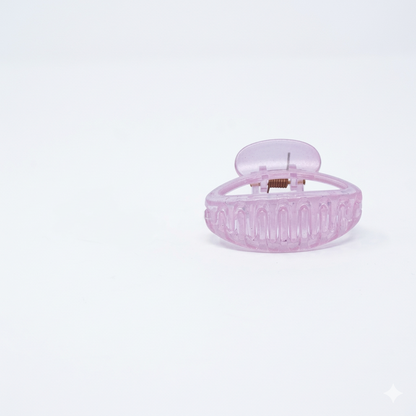Fashionable Daily Use clutcher & Clips For Girls ( set of 6 )